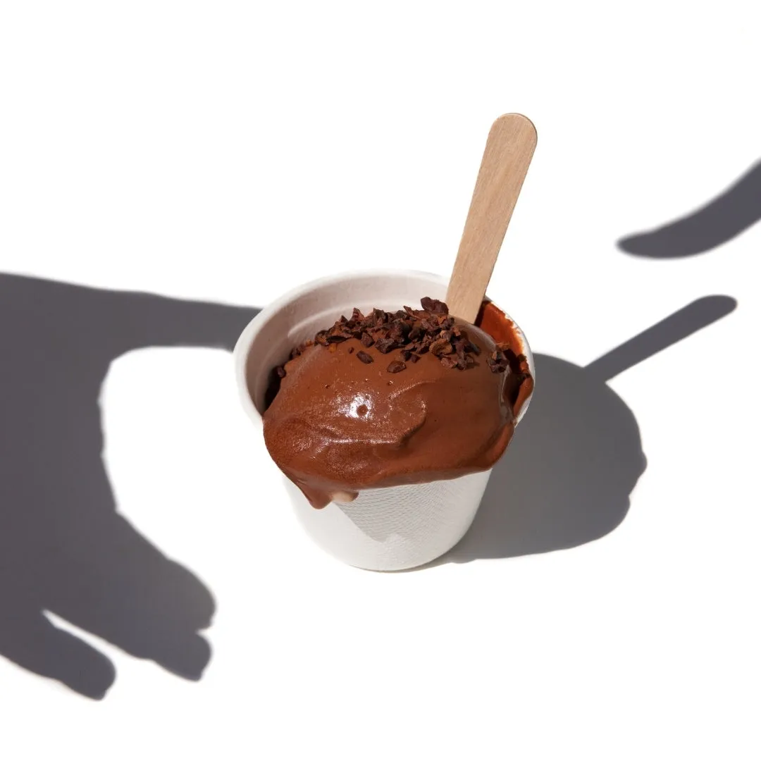 PLAQ Sorbet Chocolat Pur Noir glace chocolat Maya 84%