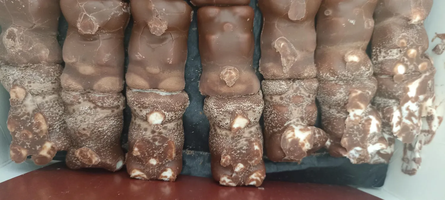 Cémoi Petit Ourson guimauve chocolat au lait 48 pièces moelleux
