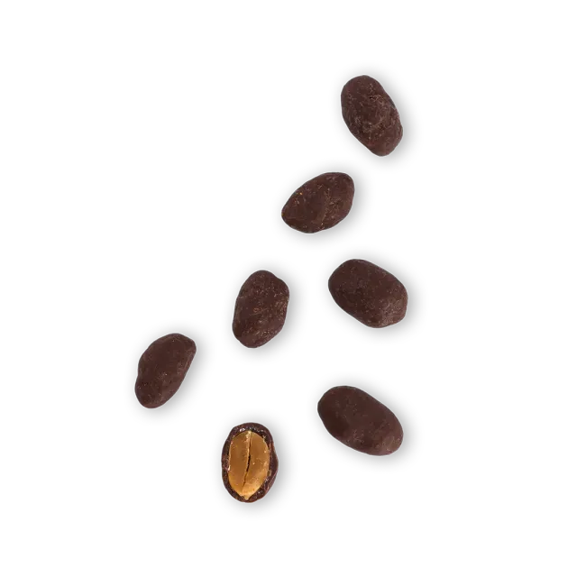 Plaq Pur Lait cacahuètes caramélisées chocolat lait