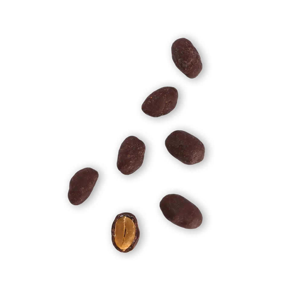 Plaq Pur Lait cacahuètes caramélisées chocolat lait