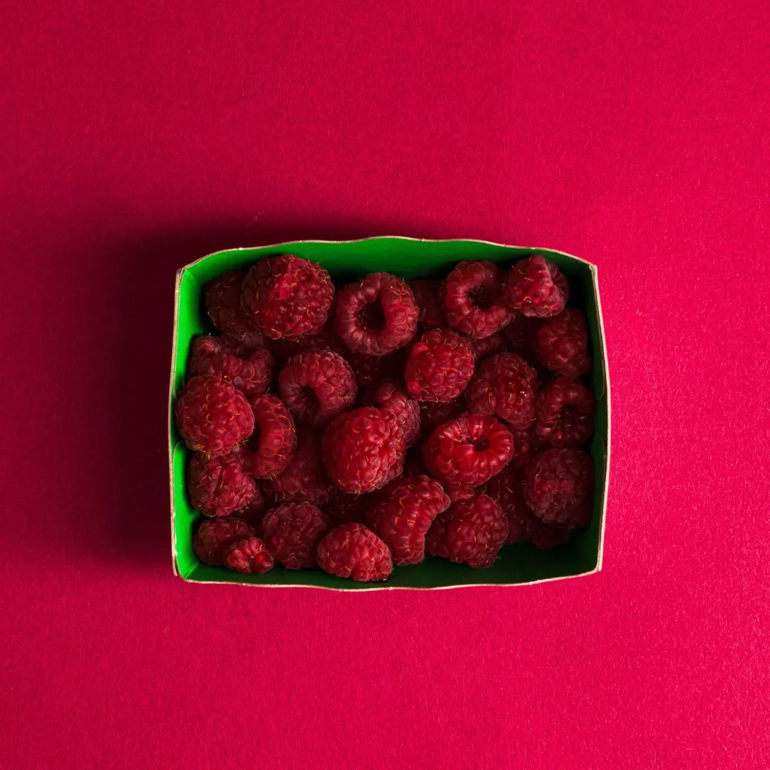 Plaq Fragments Croquants noir grué cacao framboises chocolat 84%