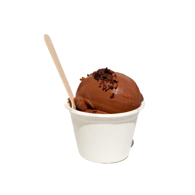 PLAQ Sorbet Chocolat Pur Noir glace chocolat Maya 84%