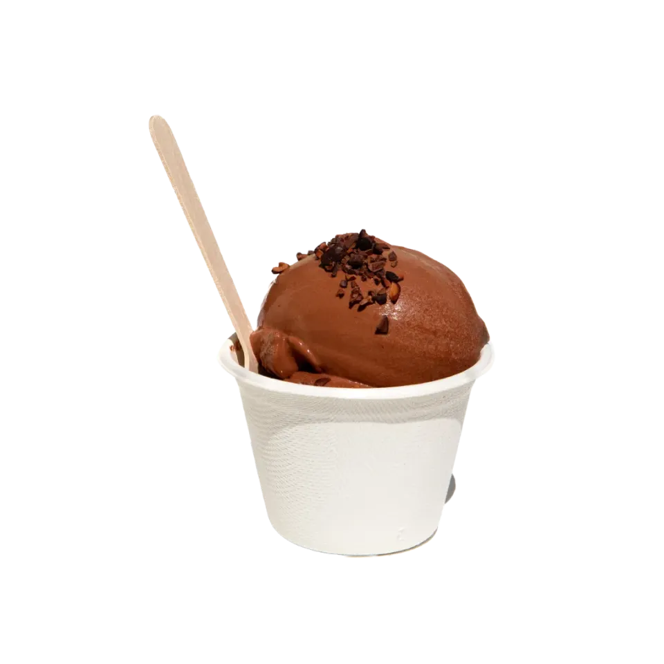 PLAQ Sorbet Chocolat Pur Noir glace chocolat Maya 84%