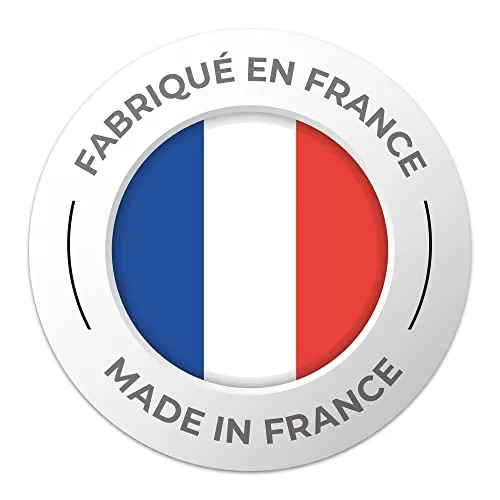 Cémoi Pâtes de Fruits 4 parfums confiserie 4,5 kg distributeur