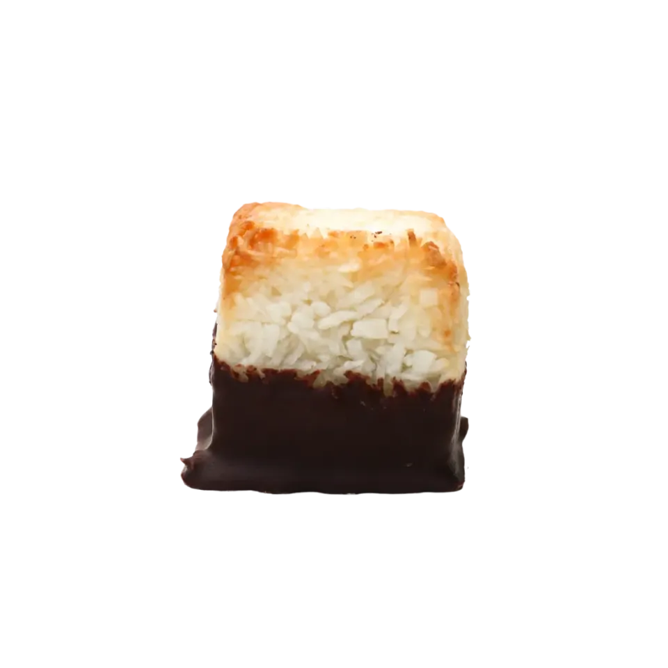 PLAQ Rochers Coco rocher chocolat noir coco 76%