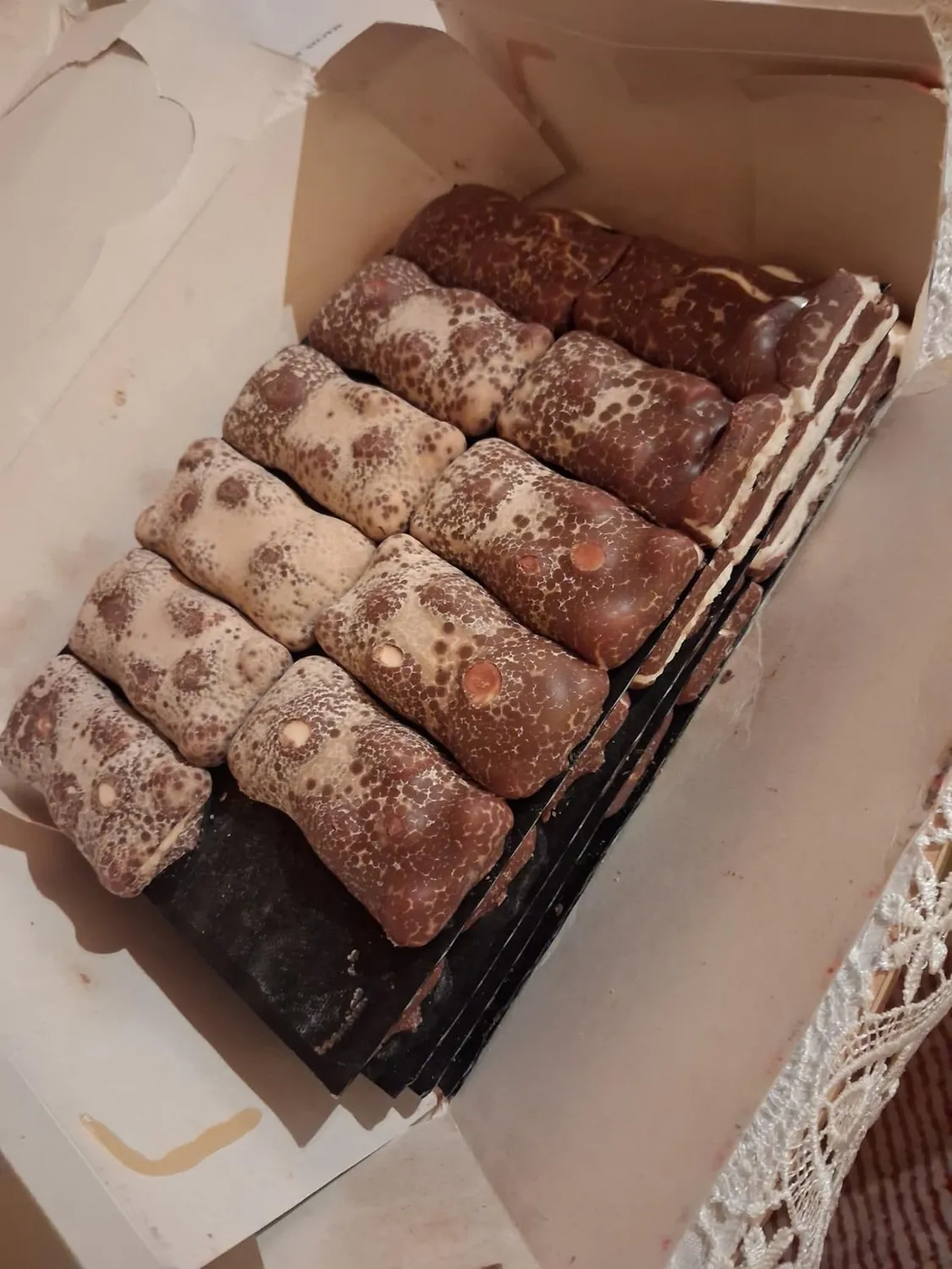 Cémoi Petit Ourson guimauve chocolat au lait 48 pièces moelleux
