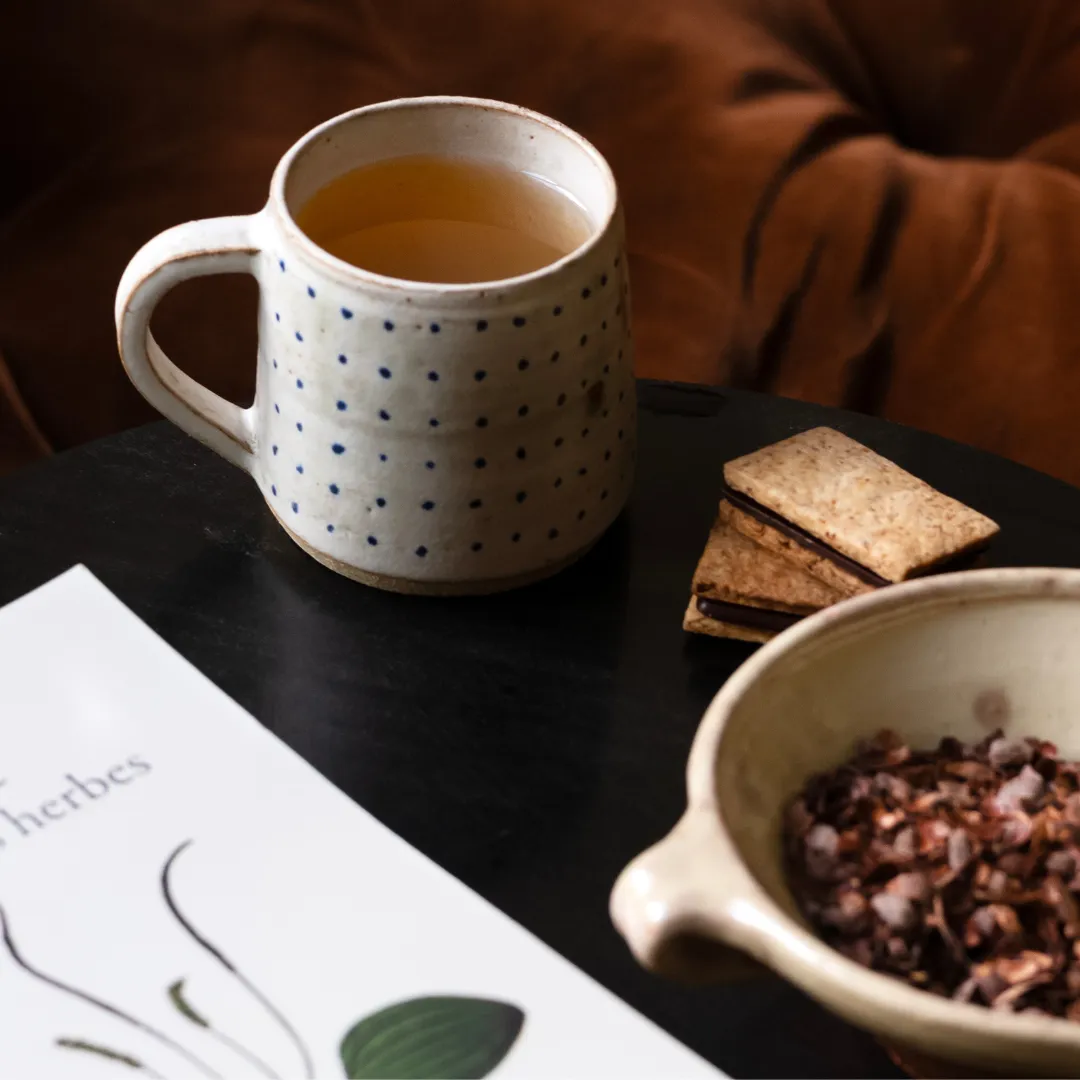 PLAQ Infusion cacao écorces bio détox