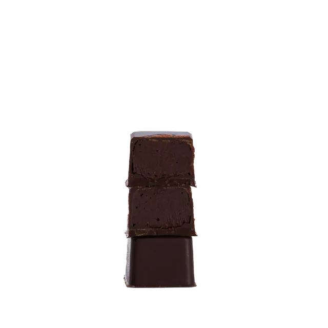 PLAQ boîte 16 bonbons noir mix 2 ganaches fondantes fruitées