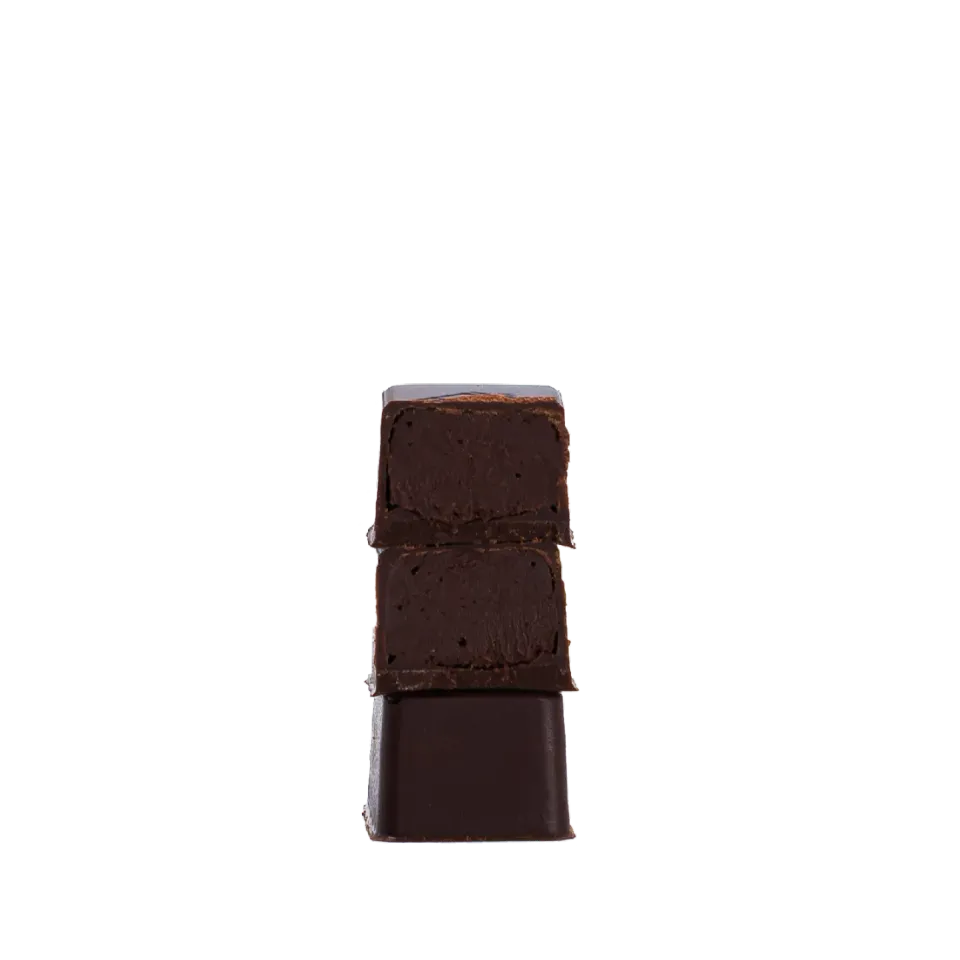 PLAQ boîte 16 bonbons noir mix 2 ganaches fondantes fruitées