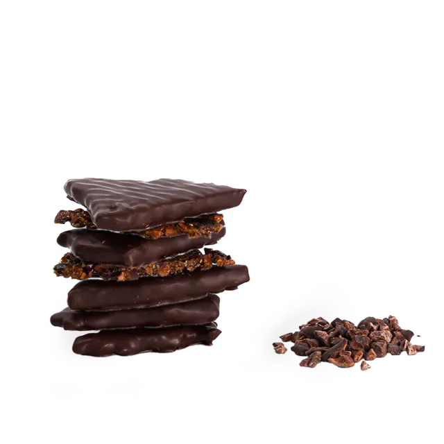 Plaq Fragments Croquants noir grué cacao framboises chocolat 84%