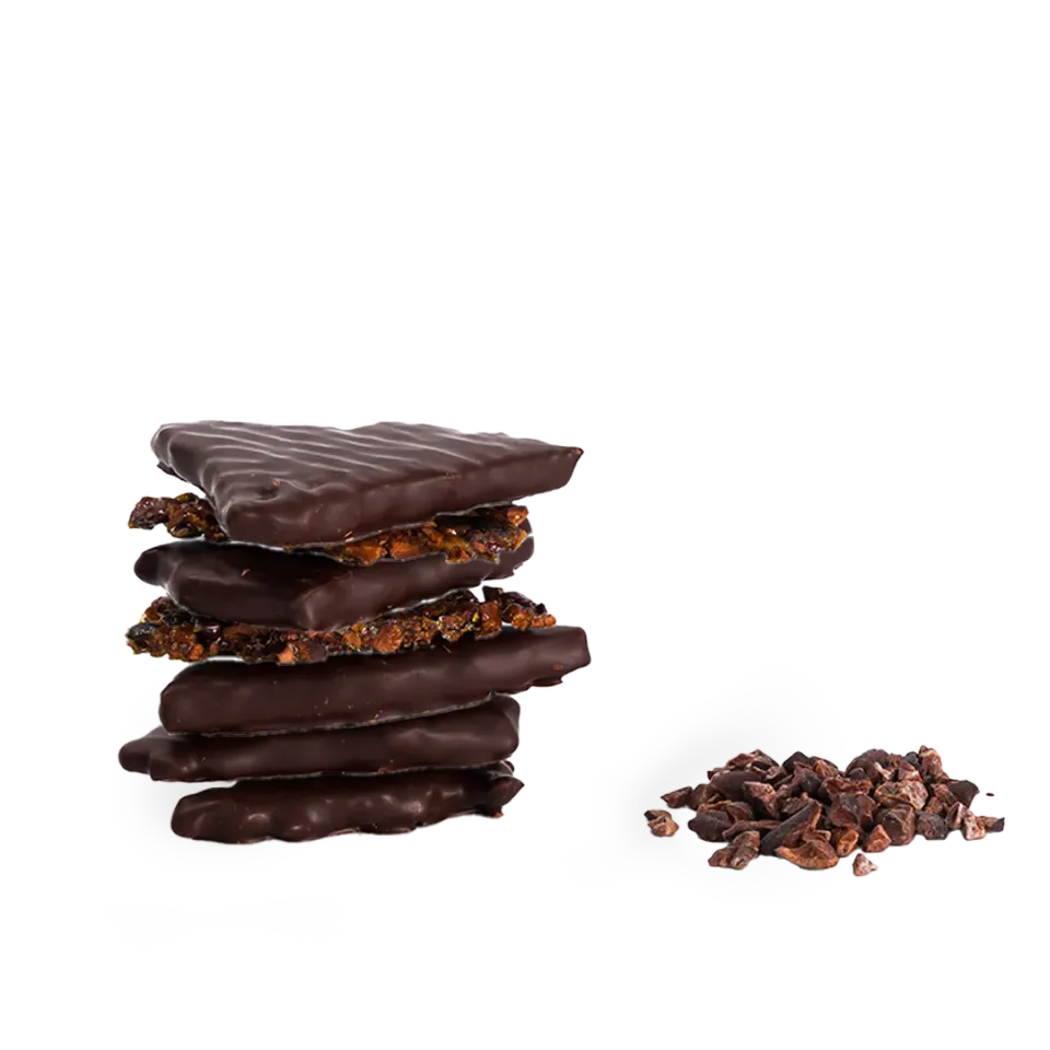 Plaq Fragments Croquants noir grué cacao framboises chocolat 84%