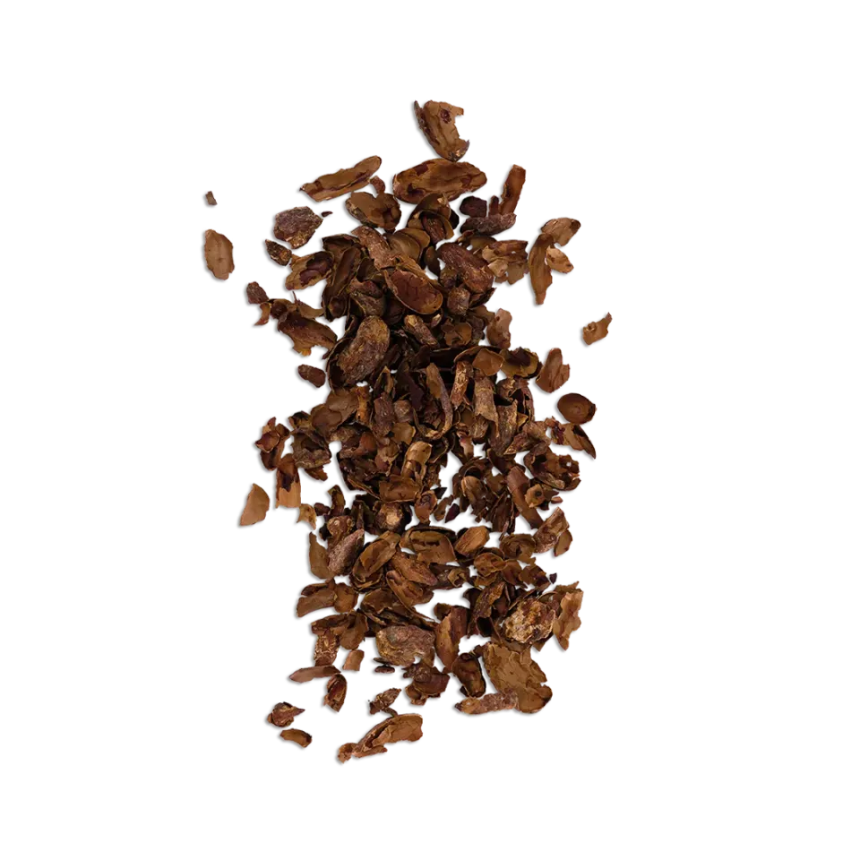 PLAQ Infusion cacao écorces bio détox